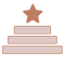 A simple illustration of three stacked horizontal bars in ascending order with a star on top, all in brown color, representing achievement or ranking.