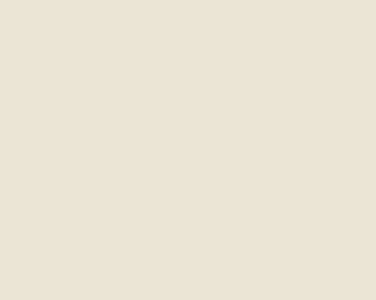 Solid light beige color swatch